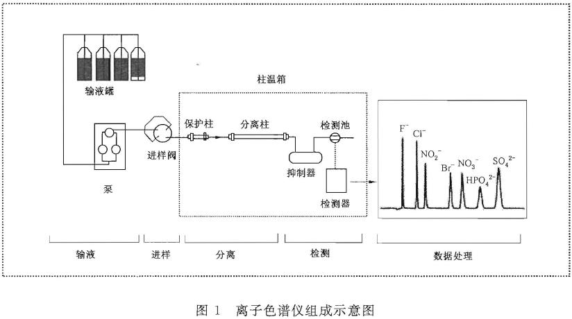 進行定性和定量分析